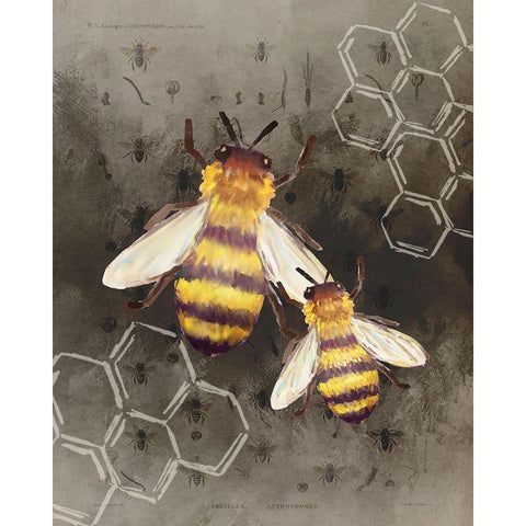 Bee Charmer 2 Black Modern Wood Framed Art Print with Double Matting by Allen, Kimberly