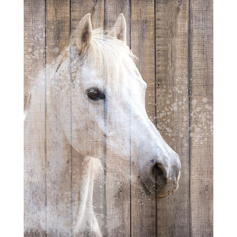 Painted White Black Modern Wood Framed Art Print by Allen, Kimberly