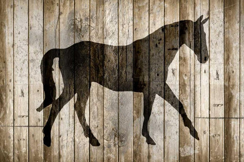 Barnwood Horse White Modern Wood Framed Art Print with Double Matting by Allen, Kimberly