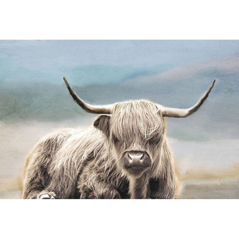 Highland Black Modern Wood Framed Art Print with Double Matting by Allen, Kimberly