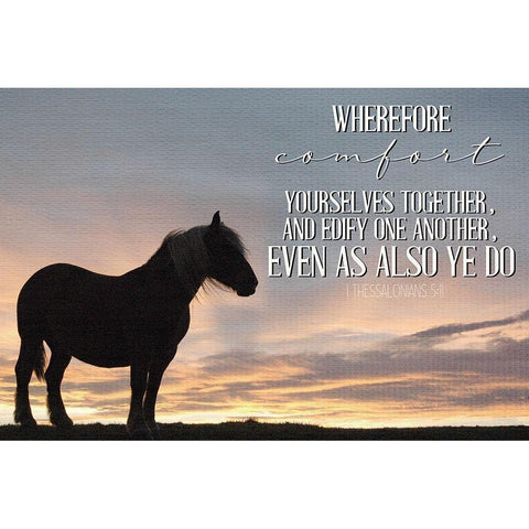 Comfort Black Modern Wood Framed Art Print with Double Matting by Allen, Kimberly