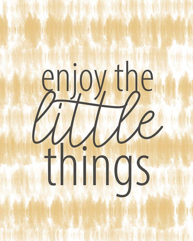 Enjoy the Little Things White Modern Wood Framed Art Print with Double Matting by Allen, Kimberly