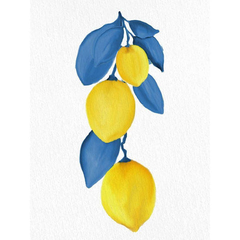 Lemon Vine 1 Black Modern Wood Framed Art Print with Double Matting by Allen, Kimberly