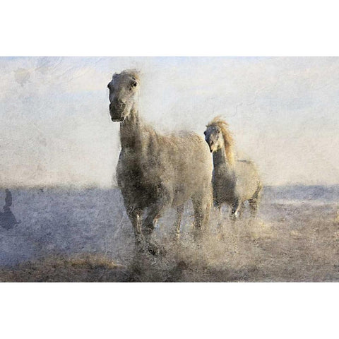 Running Free Black Modern Wood Framed Art Print with Double Matting by Allen, Kimberly