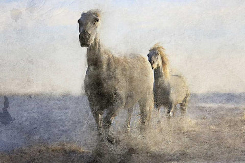 Running Free Black Ornate Wood Framed Art Print with Double Matting by Allen, Kimberly