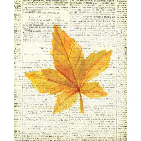 In the Fall 1  Black Modern Wood Framed Art Print by Kimberly, Allen