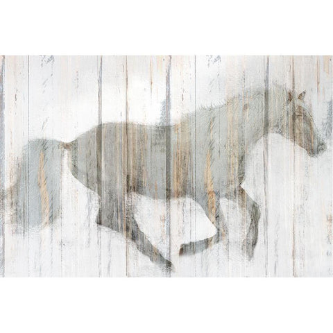 Whitewash Horse Black Modern Wood Framed Art Print with Double Matting by Allen, Kimberly