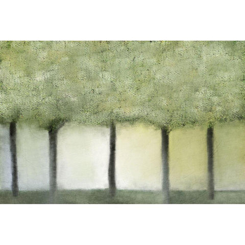 Grove of Trees Black Modern Wood Framed Art Print with Double Matting by Kimberly, Allen