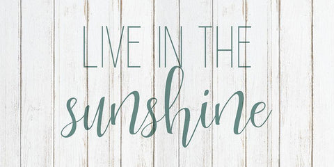 Live in the Sun 2 Black Ornate Wood Framed Art Print with Double Matting by Kimberly, Allen