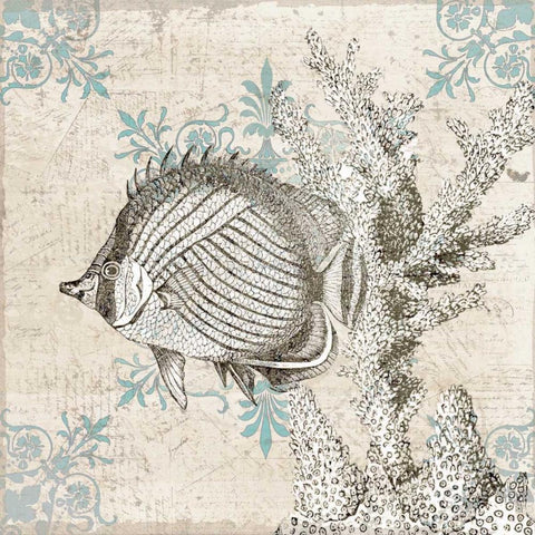 Sea Life A Gold Ornate Wood Framed Art Print with Double Matting by Allen, Kimberly