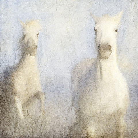 White Wild White Modern Wood Framed Art Print with Double Matting by Kimberly, Allen