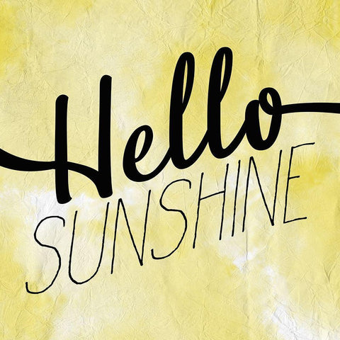 Hello Sunshine Black Ornate Wood Framed Art Print with Double Matting by Kimberly, Allen