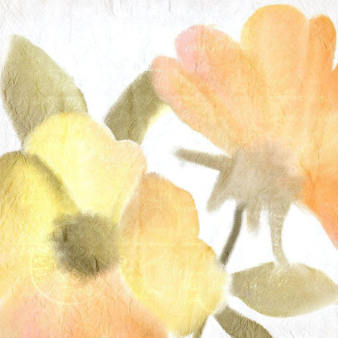 Summer Blooms 2 White Modern Wood Framed Art Print by Kimberly, Allen