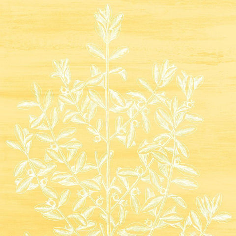 Botanical Bright 2 Gold Ornate Wood Framed Art Print with Double Matting by Kimberly, Allen