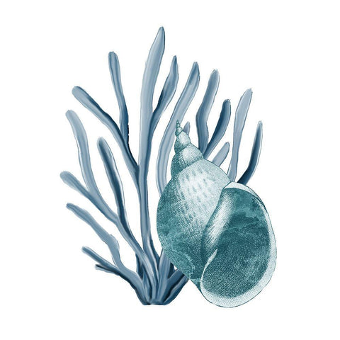 Coastal Coral 4 White Modern Wood Framed Art Print with Double Matting by Kimberly, Allen