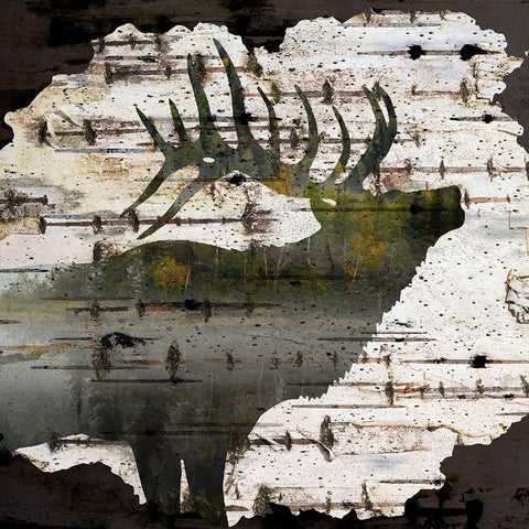 Birch Forest 1 Gold Ornate Wood Framed Art Print with Double Matting by Allen, Kimberly