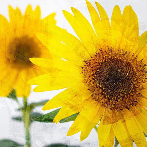 Sunnyside Gold Ornate Wood Framed Art Print with Double Matting by Allen, Kimberly