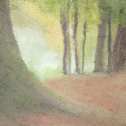 Shrouded Black Modern Wood Framed Art Print with Double Matting by Kimberly, Allen