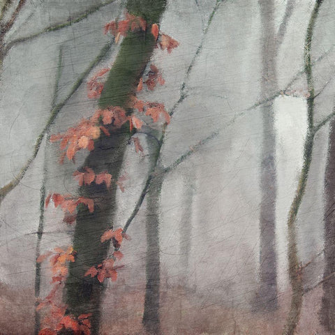 Fall Mood White Modern Wood Framed Art Print with Double Matting by Kimberly, Allen