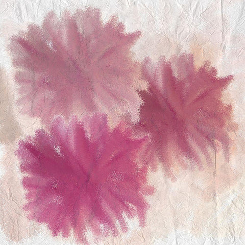 Pom Pom 1 White Modern Wood Framed Art Print with Double Matting by Kimberly, Allen