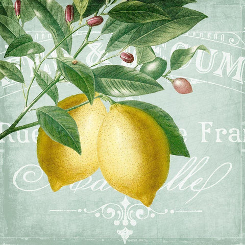 Lemon Drop 2 Black Modern Wood Framed Art Print with Double Matting by Kimberly, Allen