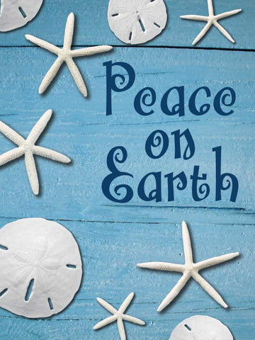 Coastal Christmas Sand Dollars 1 White Modern Wood Framed Art Print with Double Matting by Hogan, Melody