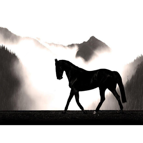 Wandering Horse Black Modern Wood Framed Art Print by Prime, Marcus