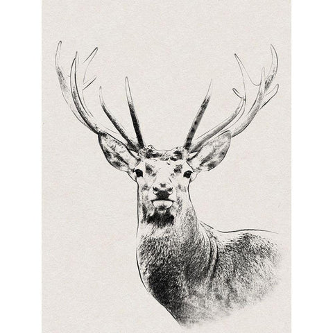 Wilderness Stare Gold Ornate Wood Framed Art Print with Double Matting by Prime, Marcus