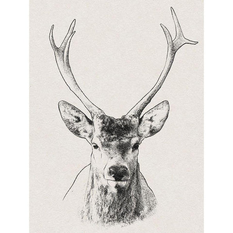 Wilderness Stare 2 Gold Ornate Wood Framed Art Print with Double Matting by Prime, Marcus