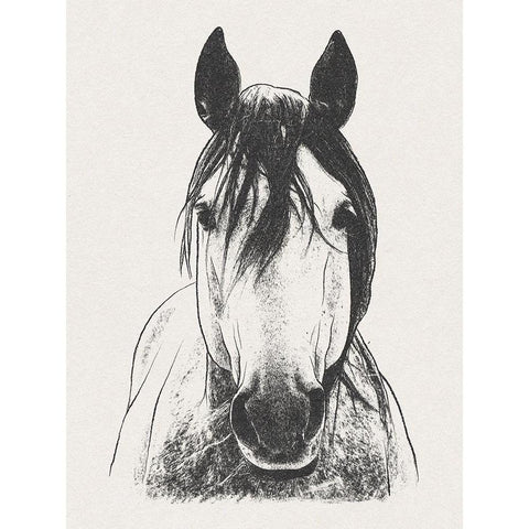Daring Stallion Gold Ornate Wood Framed Art Print with Double Matting by Prime, Marcus