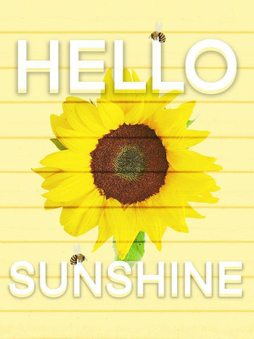 Hello Sunsine 2 Black Ornate Wood Framed Art Print with Double Matting by Prime, Marcus