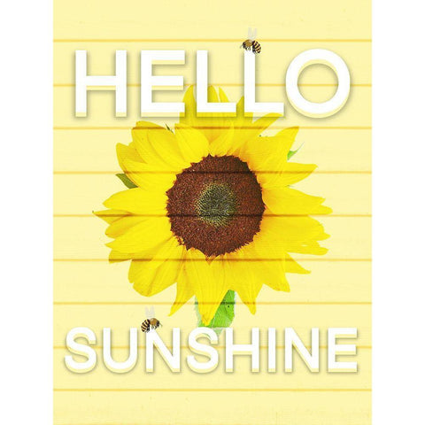 Hello Sunsine 2 White Modern Wood Framed Art Print by Prime, Marcus