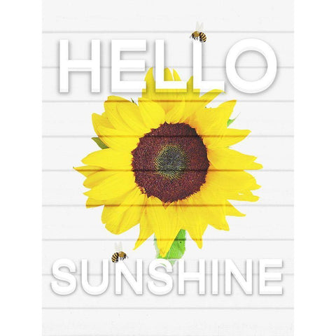 Hello Sunsine 1 Black Modern Wood Framed Art Print with Double Matting by Prime, Marcus