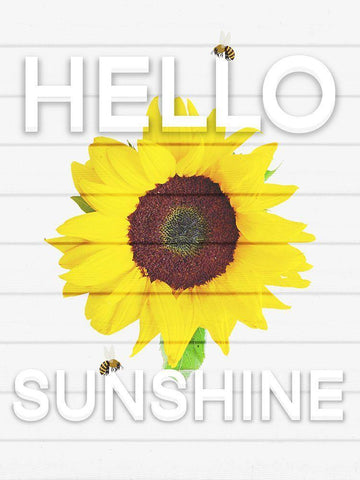 Hello Sunsine 1 White Modern Wood Framed Art Print with Double Matting by Prime, Marcus