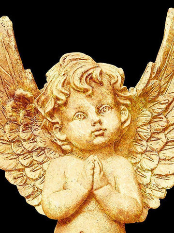 Golden Angel Black Ornate Wood Framed Art Print with Double Matting by Prime, Marcus