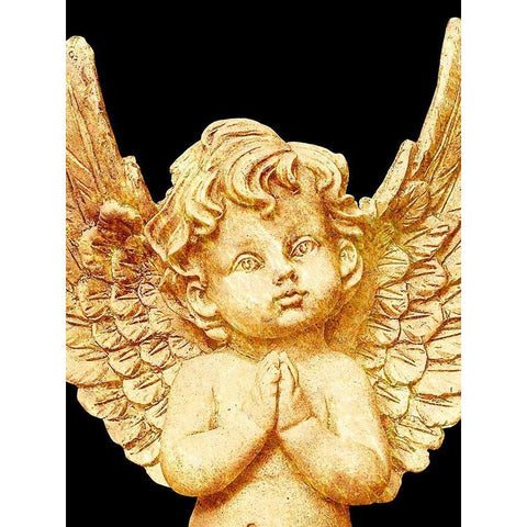 Golden Angel Black Modern Wood Framed Art Print by Prime, Marcus