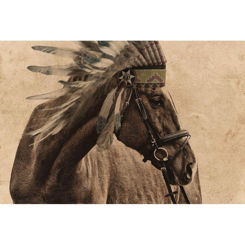 Native Horse Black Modern Wood Framed Art Print by Prime, Marcus