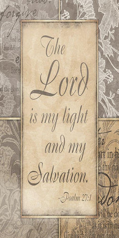Light And My Salvation Black Ornate Wood Framed Art Print with Double Matting by Prime, Marcus