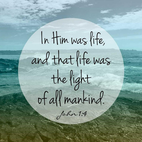 Morning Light White Modern Wood Framed Art Print by Prime, Marcus