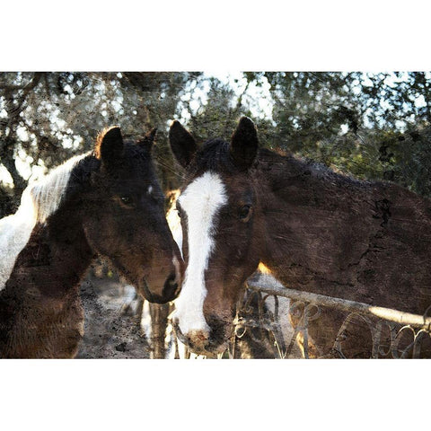 Horse Looks White Modern Wood Framed Art Print by Villa, Mlli