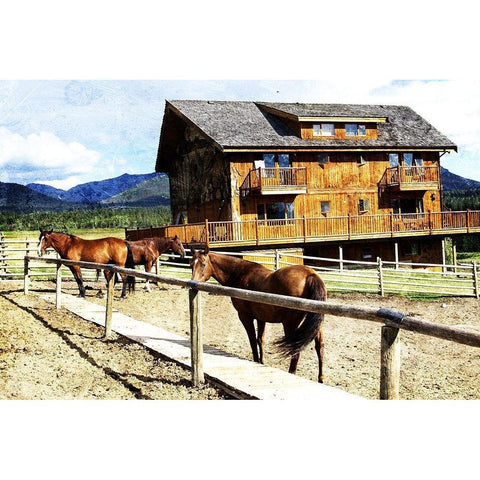 Horse Ranch White Modern Wood Framed Art Print by Villa, Mlli