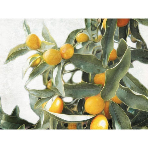 Lemons Gold Ornate Wood Framed Art Print with Double Matting by Villa, Mlli