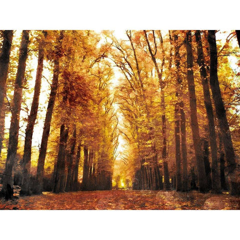 Fallow Your Path Gold Ornate Wood Framed Art Print with Double Matting by Villa, Mlli