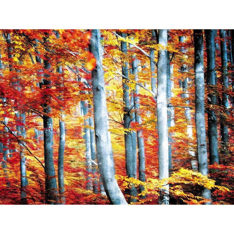 Fall Is Here Gold Ornate Wood Framed Art Print with Double Matting by Villa, Mlli