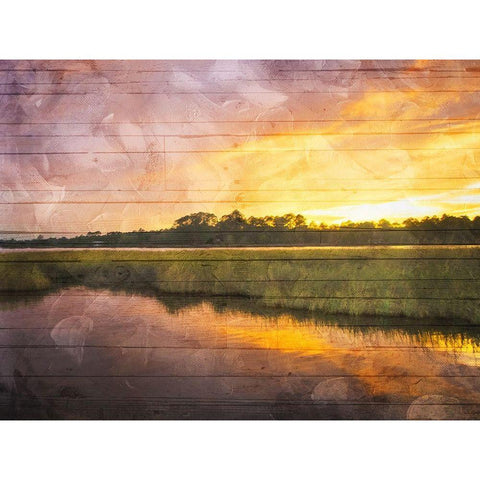 Marsh Sunset Gold Ornate Wood Framed Art Print with Double Matting by Villa, Mlli