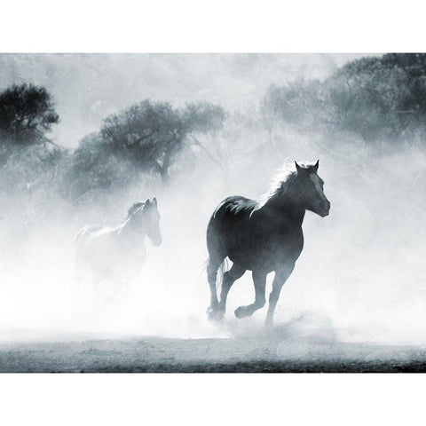 Running Horses 2 Black Modern Wood Framed Art Print by Villa, Milli