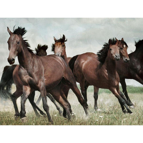 Running Horses 3 Gold Ornate Wood Framed Art Print with Double Matting by Villa, Milli