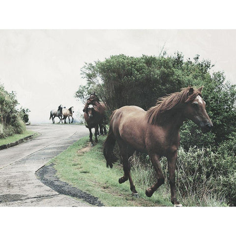 Horses Down The Street Gold Ornate Wood Framed Art Print with Double Matting by Villa, Milli