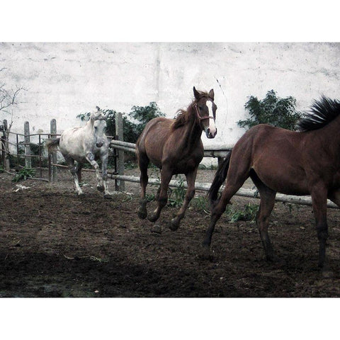 Horses Down The Dirt Road Black Modern Wood Framed Art Print with Double Matting by Villa, Milli