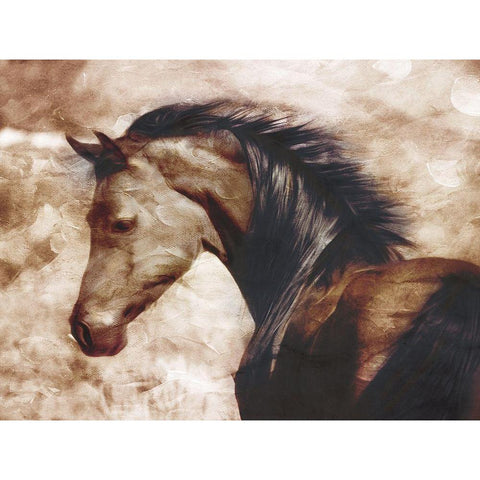 Look At The Horse Black Modern Wood Framed Art Print by Villa, Milli